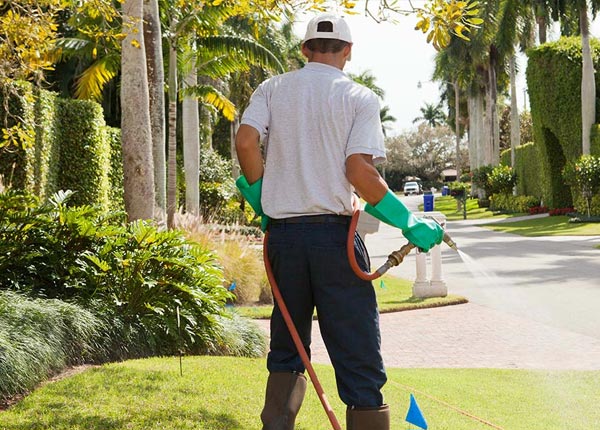 About New Troy MI Pest Control